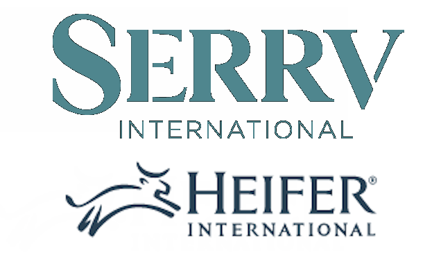 serrv-heifer-636x400